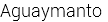 Aguaymanto